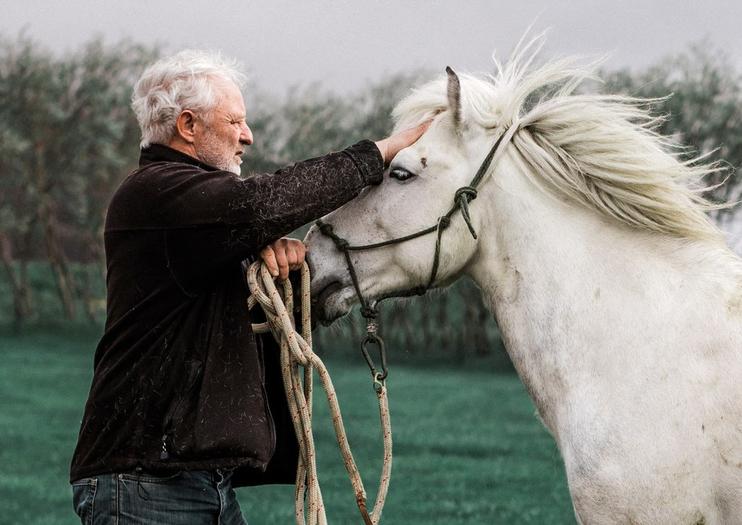 Brunir Horse